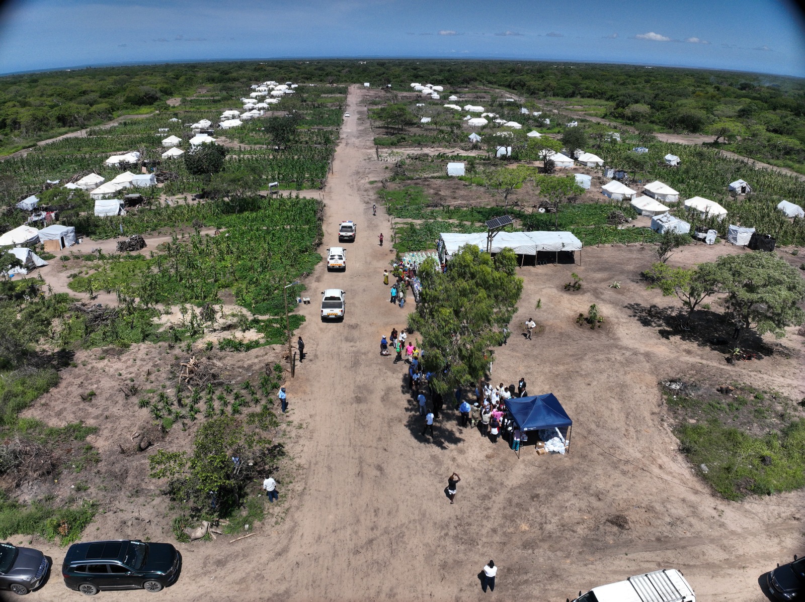 Trabalho de campo, observação local e coordenação territorial